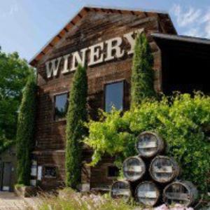 Milano Family Winery photo