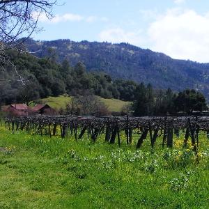 McFadden Farm Stand & Tasting Room  photo