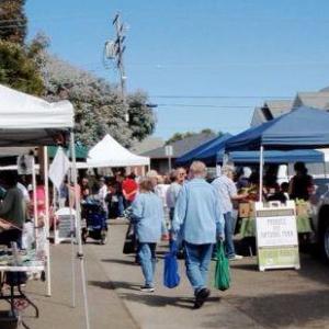 Fort Bragg Farmers Market photo