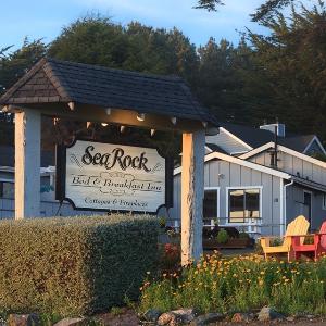 Sea Rock Inn photo