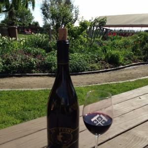 Michael David Vineyards photo