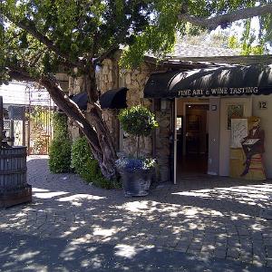 Twisted Root Vineyard photo