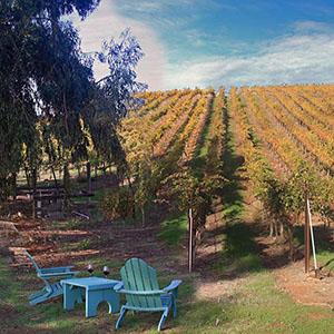 Big White House & John Evan Cellars photo