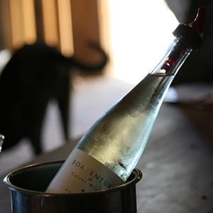 BoaVentura de Caires Winery photo