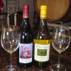 Bodegas Aguirre Winery photo