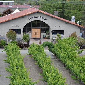 Crooked Vine Winery photo