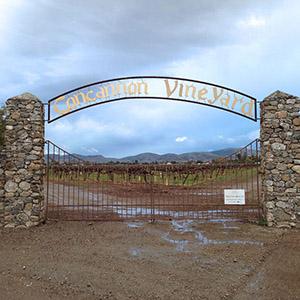 Concannon Vineyard photo