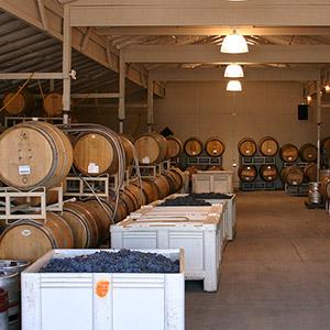 El Sol Vineyard photo