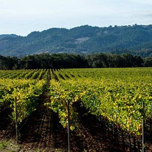 La Rochelle Winery photo