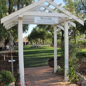 Retzlaff Estate Vineyards photo