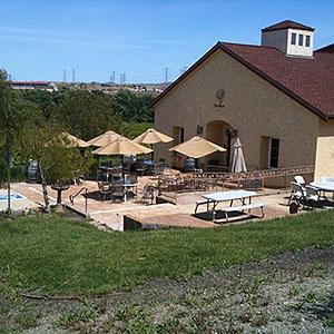 Tenuta Vineyards photo