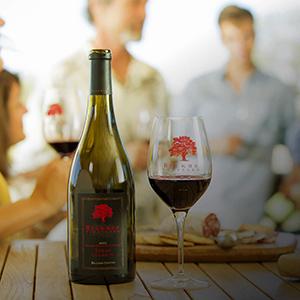 Beckmen Vineyards photo