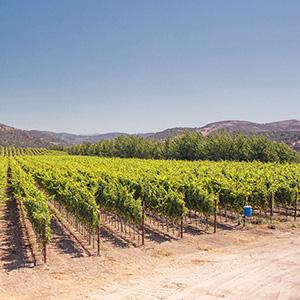 Brewer-Clifton photo