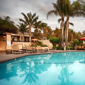 Best Western South Coast Inn photo