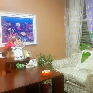 Amazing Day Spa photo