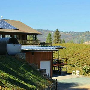 Gold Hill Vineyard photo