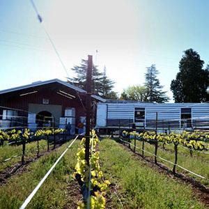 Grace Patriot Wines photo