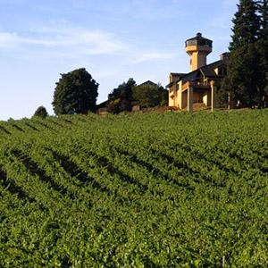 Willamette Valley Vineyards photo