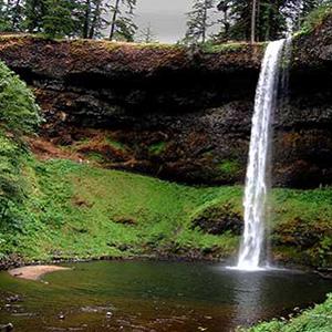 Silver Falls State Park photo