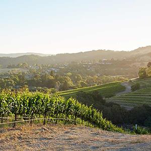 Sinor-­LaVallee Winery photo