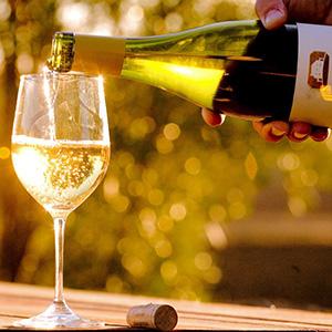 Talley Vineyards photo