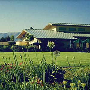 Edna Valley Vineyard photo