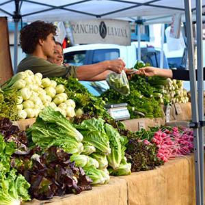 Santa Barbara Certified Farmers Market photo