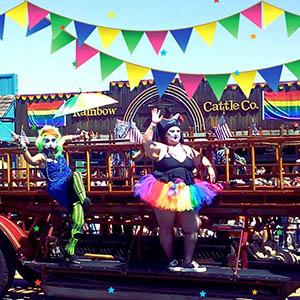 Rainbow Cattle photo