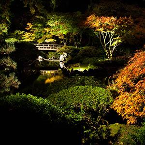 Portland Japanese Garden photo