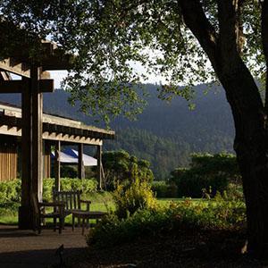 Roederer Estate photo