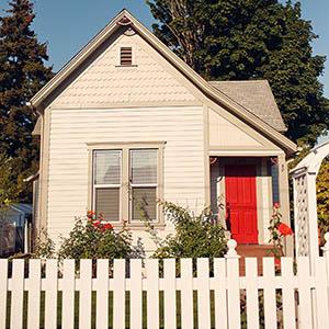 The Painted Lady photo