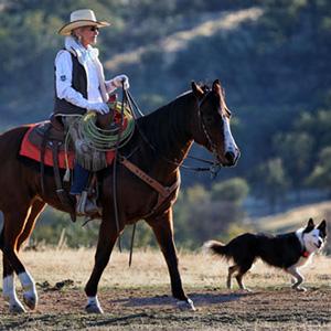 Parkfield Inn - V6 Ranch photo