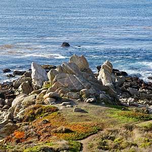 Carmel River State Beach photo