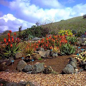 San Luis Obispo Botanical Gardens photo