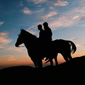 Circle Bar B Riding Stables photo