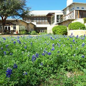 Lake Austin Spa Resort  photo