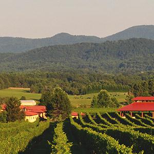 Afton Mountain Vineyards photo