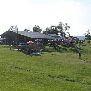 Blue Ridge Vineyard photo