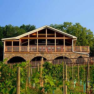 Bluemont Vineyard photo