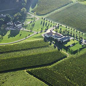 Breaux Vineyards photo