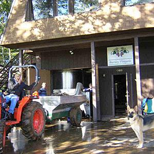 Burnley Vineyards photo