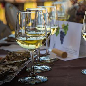 Chatham Vineyard & Winery photo