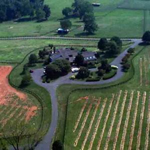 Chrysalis Vineyards photo