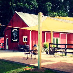 Corcoran Vineyards photo