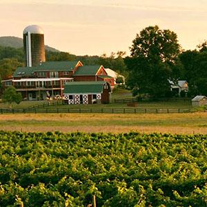 Doukenie Winery photo