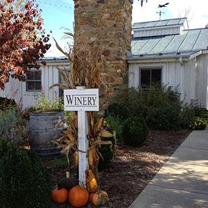 Flying Fox Vineyard photo