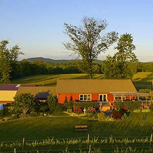 Gadino Cellars photo