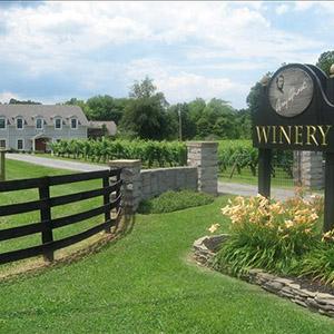 Gray Ghost Vineyards photo