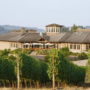Adelsheim Vineyard photo