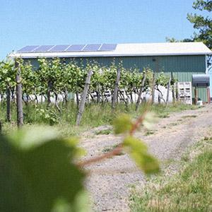 Alexeli Vineyard & Winery photo